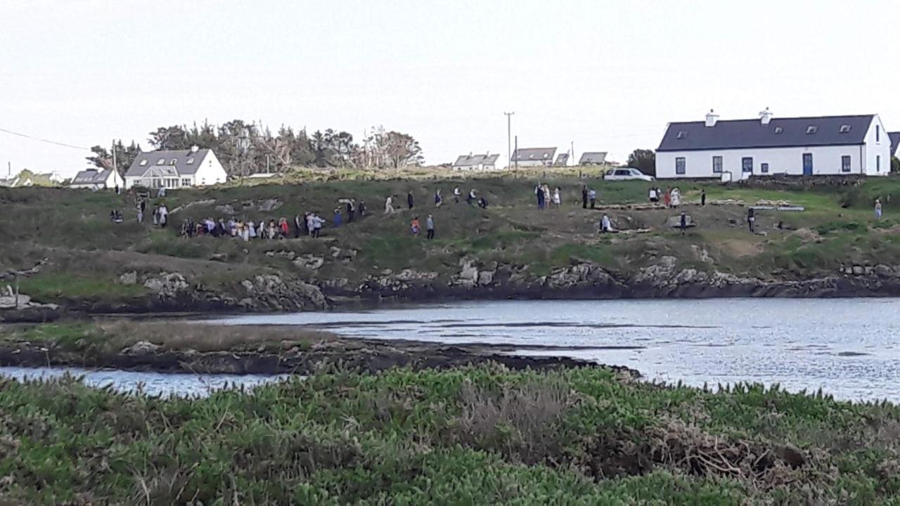 Heir Island House Bed and Breakfast Skibbereen Eksteriør billede