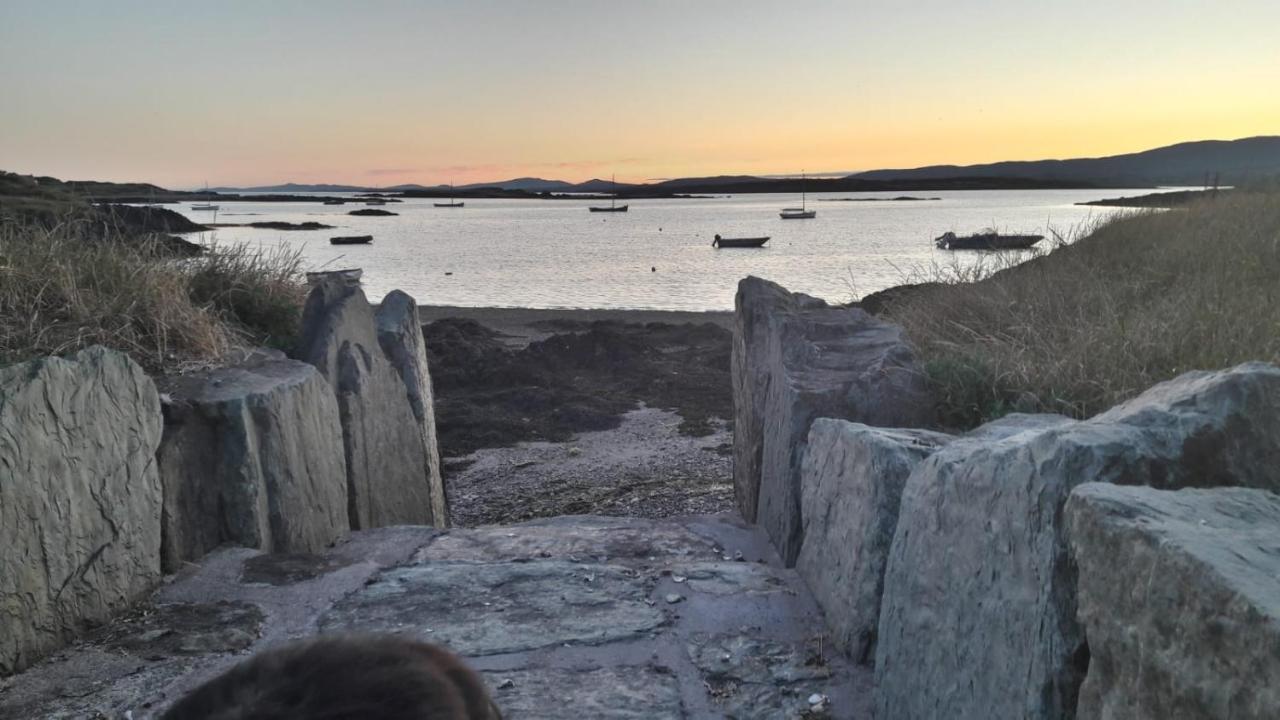 Heir Island House Bed and Breakfast Skibbereen Eksteriør billede