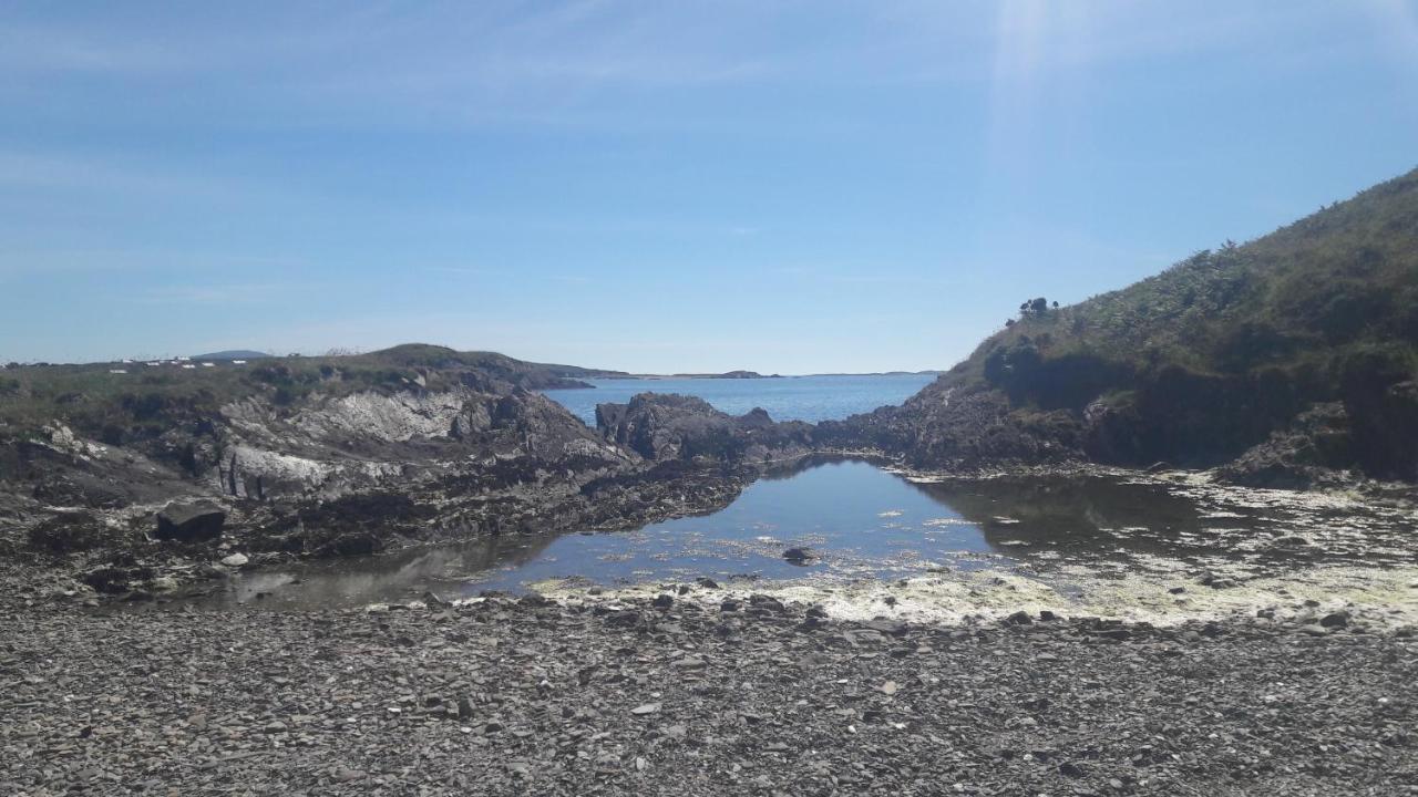 Heir Island House Bed and Breakfast Skibbereen Eksteriør billede